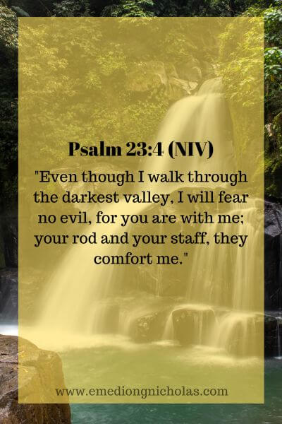 Psalm 23_4 (NIV)